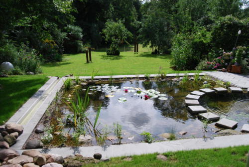 Teich